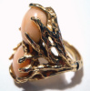 14K Yellow Gold Angel Coral Ring CSS114R
